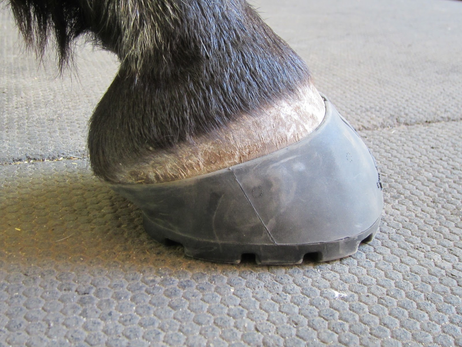 Memoirs of a Horse Girl: My Barefoot Horse: Boot Fit Kit