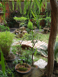 LA TIENDITA DEL BONSAI Y PAISAJISMO: JARDINES - BONSAI - PAISAJISMO