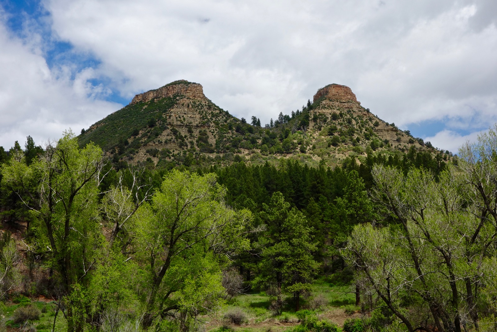 Earthline The American West Twin Buttes East, 7,737', West, 7,700
