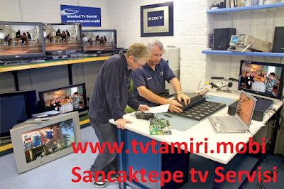 istanbul-sancaktepe-tv-servisi