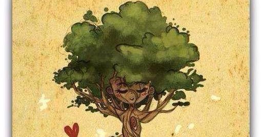 conseil d un arbre
