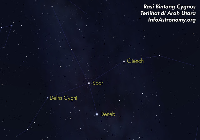 альгенуби звезда. звезда лебедя денеб. созвездие лебедь денеб. в каком созвездии находится звезда денеб. денеб голубой сверхгигант.