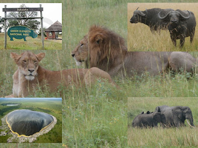 2 days queen elizabeth national park, 2 days murchison falls national park, 2 days lake mburo national park tour, 3 day lake mburo luxury tented camp rates. lake mburo safari lodge, queen elizabeth national park lodges ,queen elizabeth national park entrance fee queen elizabeth national park map ,queen elizabeth national park elephants,murchison falls national park,bwindi impenetrable national park,lake mburo national park,kidepo national park