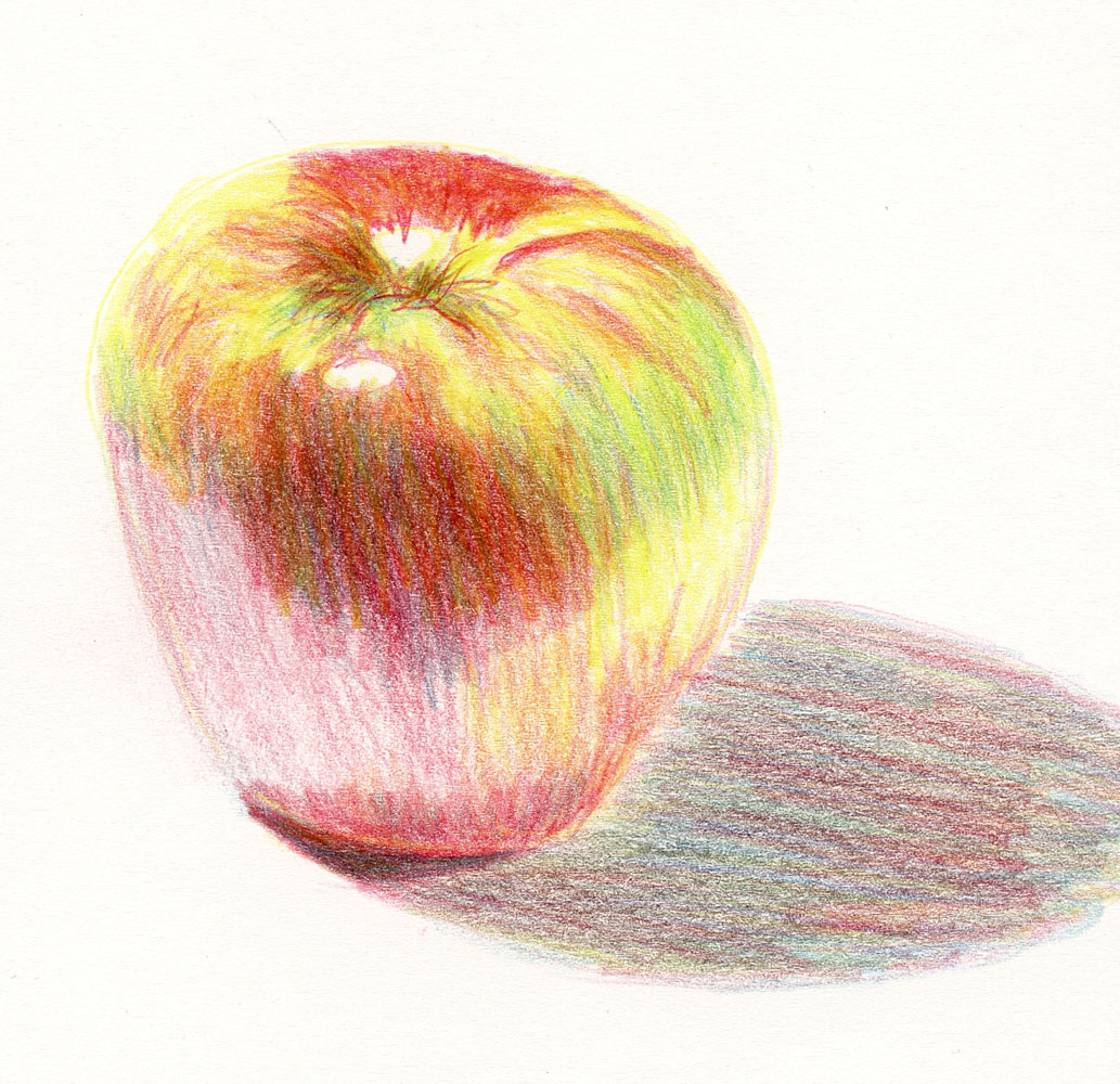 12 11 16 polychromos and pablo colored pencils