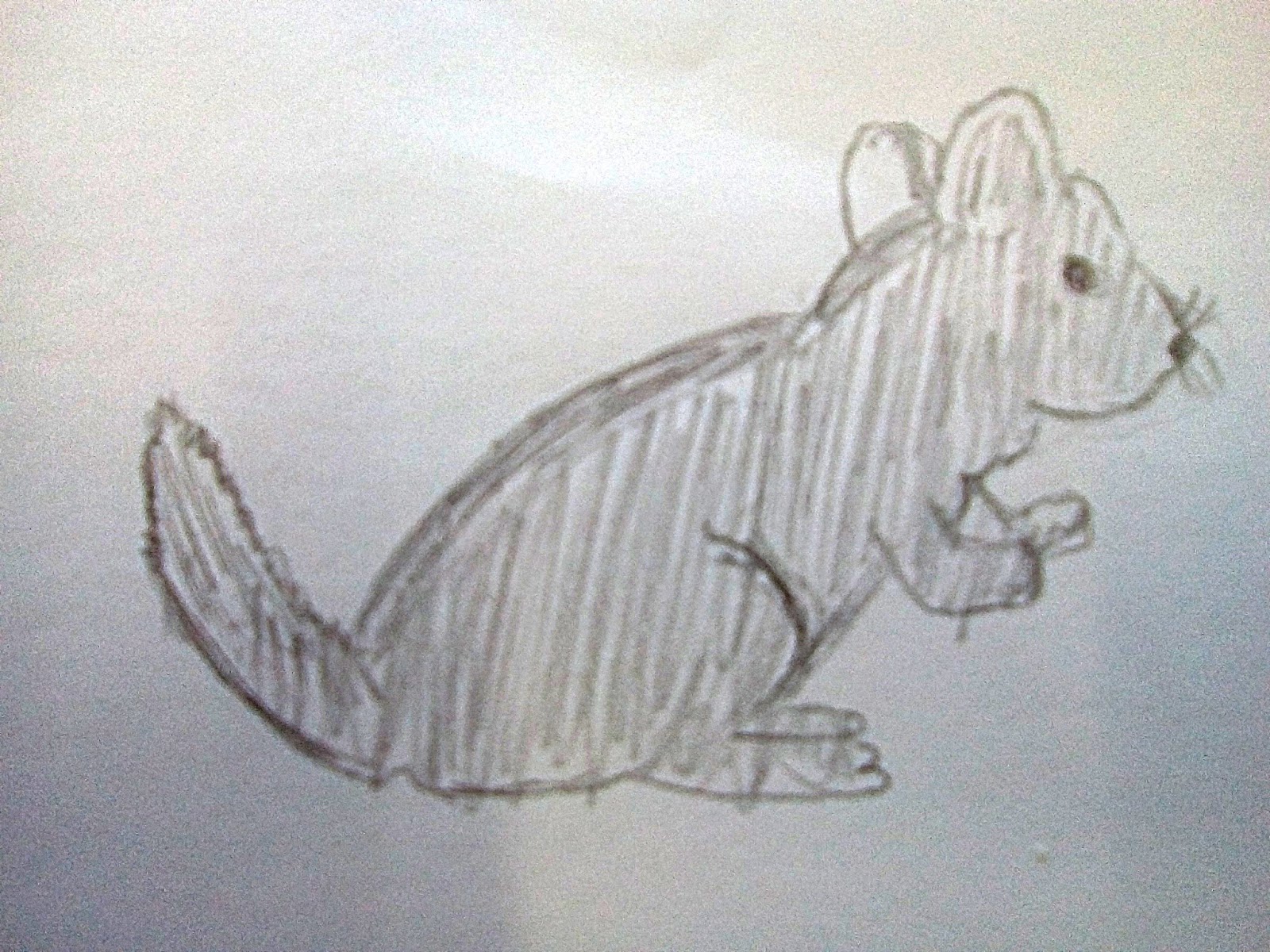 EL ANIMAL INVISIBLE: El dibujo como transmisión de información naturalista. Conflictos entre reproducción y representación.
