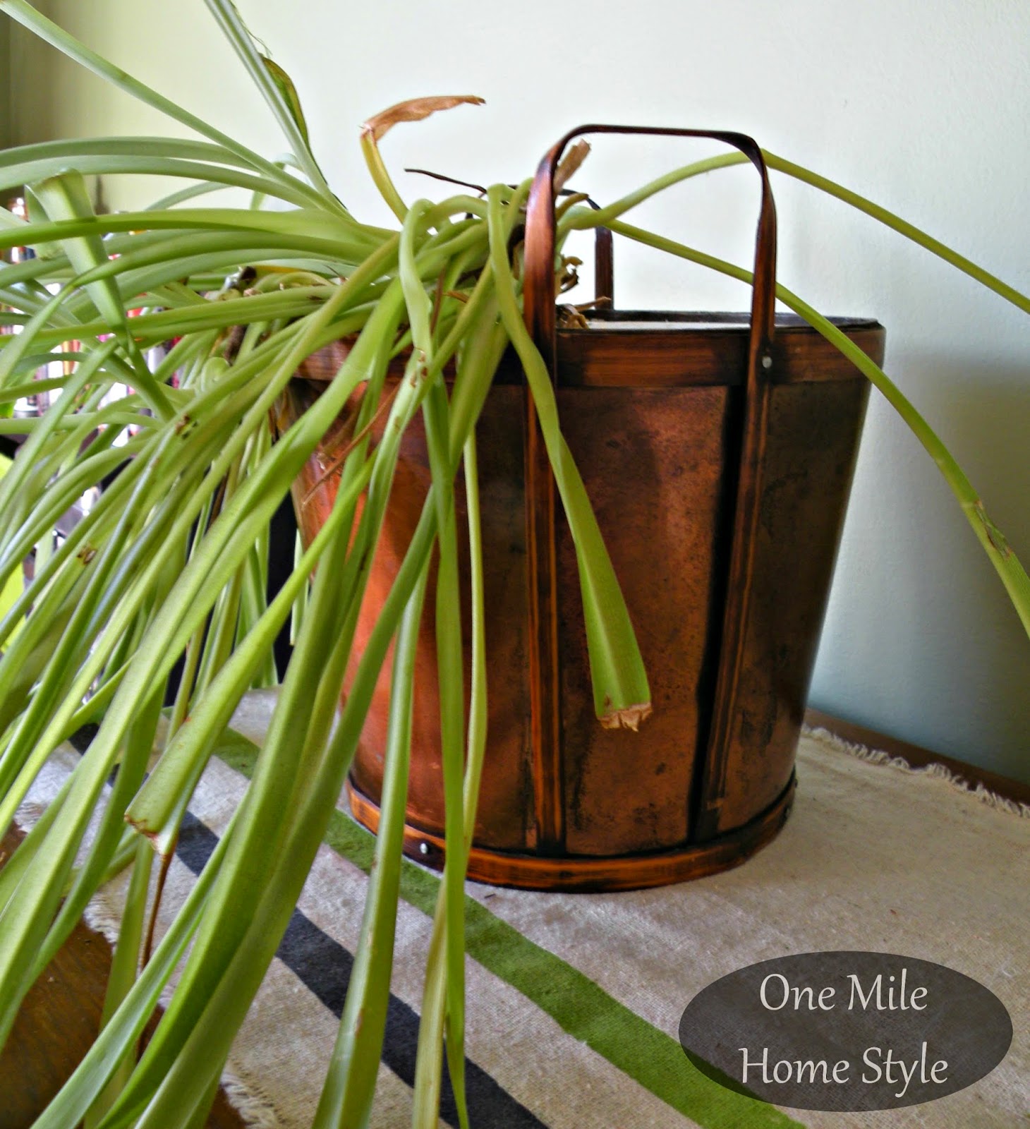 Plant Inside a Copper Basket