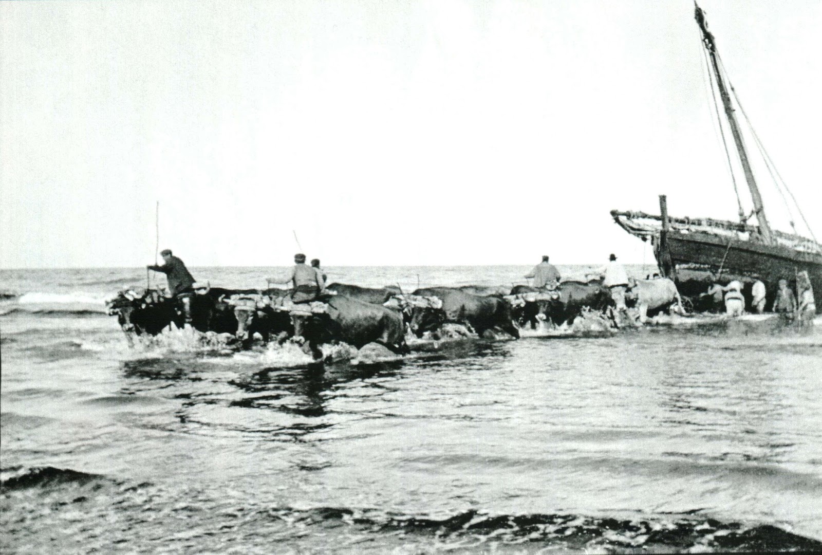 Memoria gráfica de España. Alboraya (Valencia)