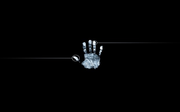 White Hard Palm HD Black Wallpaper
