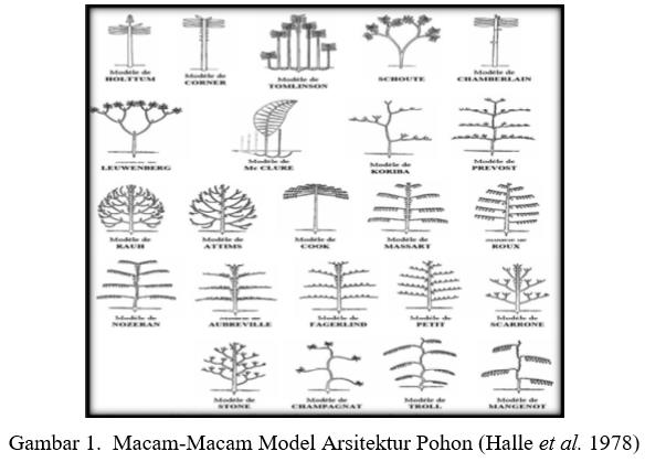 Arsitektur Pohon - Homecare24