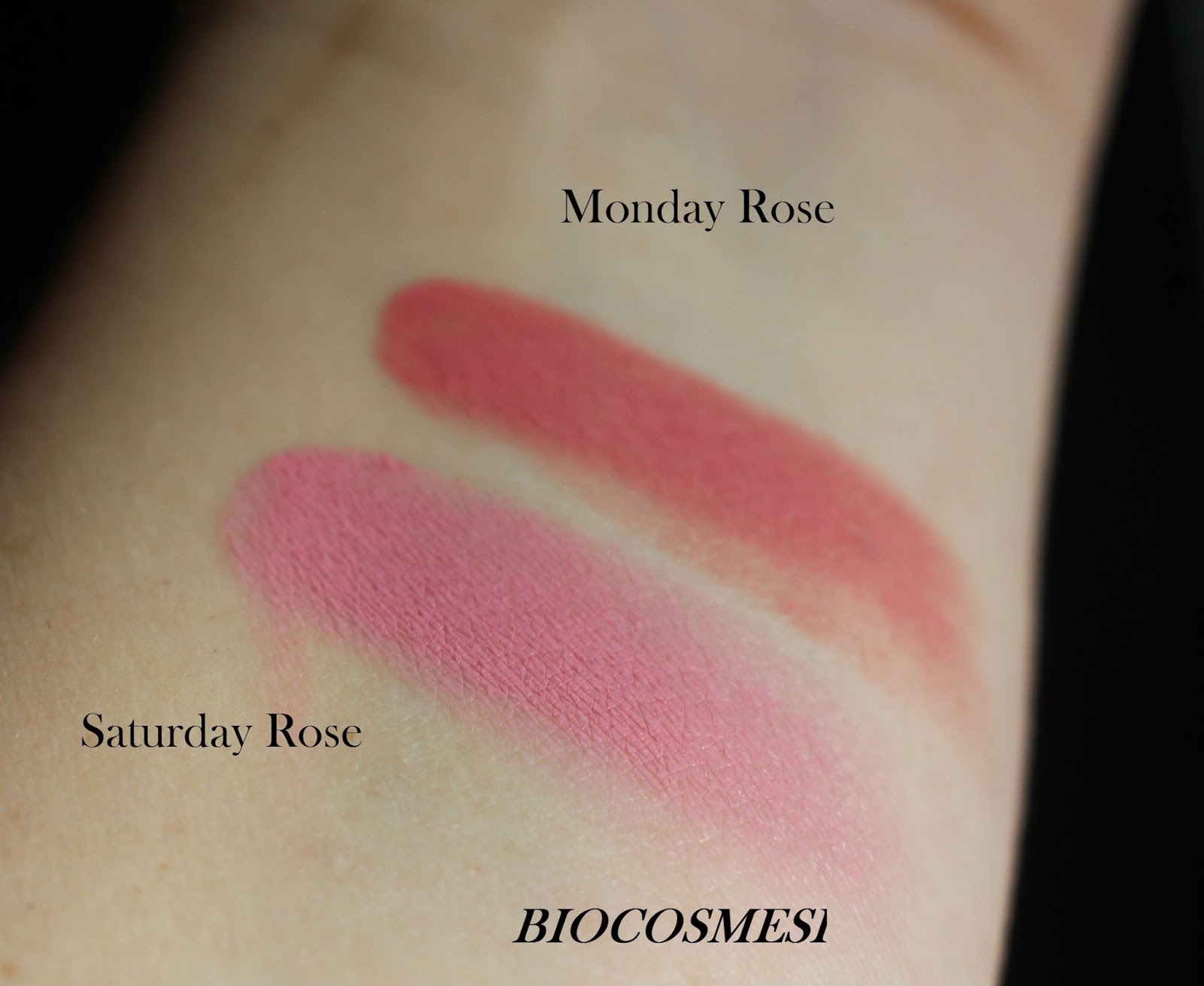 BIOCOSMESI BLUSH GARDEN NEVE COSMETICS