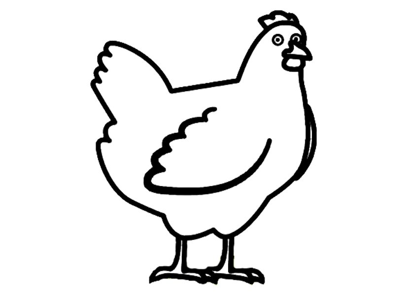 67 Coloring Pages Of A Chicken Pictures 67 Coloring Pages Of A Chicken Pictures