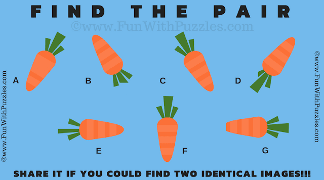 It is picture puzzle in which one has to find the pair from given 7 similar looking puzzle images