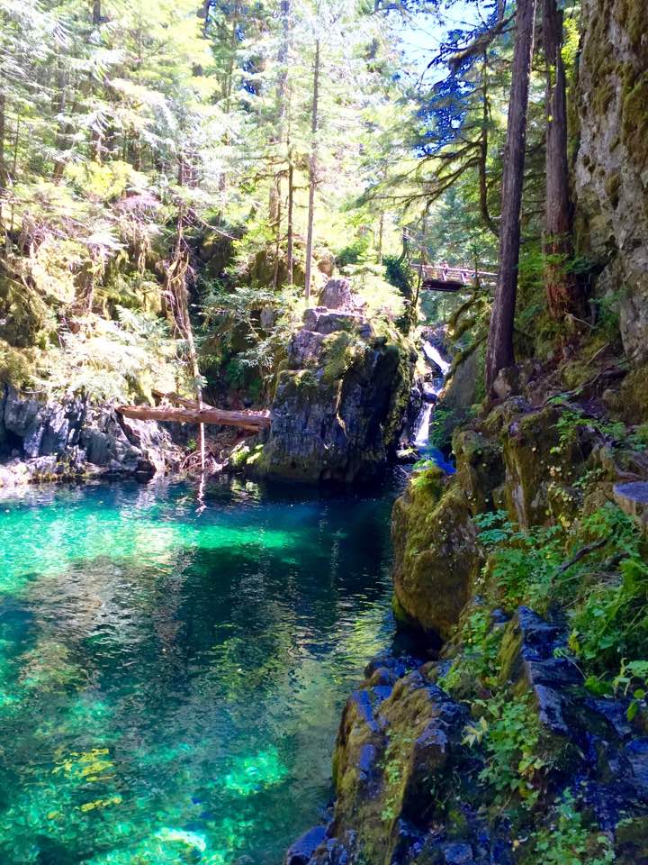 opal creek