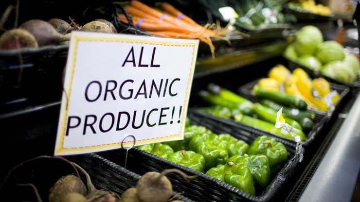 Denmark Intends To Be The World’s FIRST 100% Organic Nation