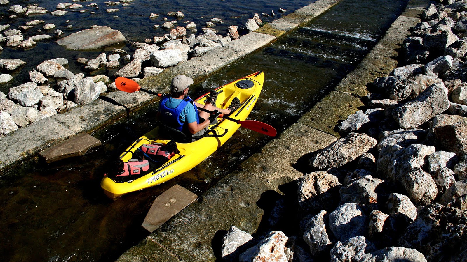 Kayak San Antonio River Kayak Choices