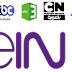 Arabic MBC BeIN Sports SeeVII Rotana Cinema M3u