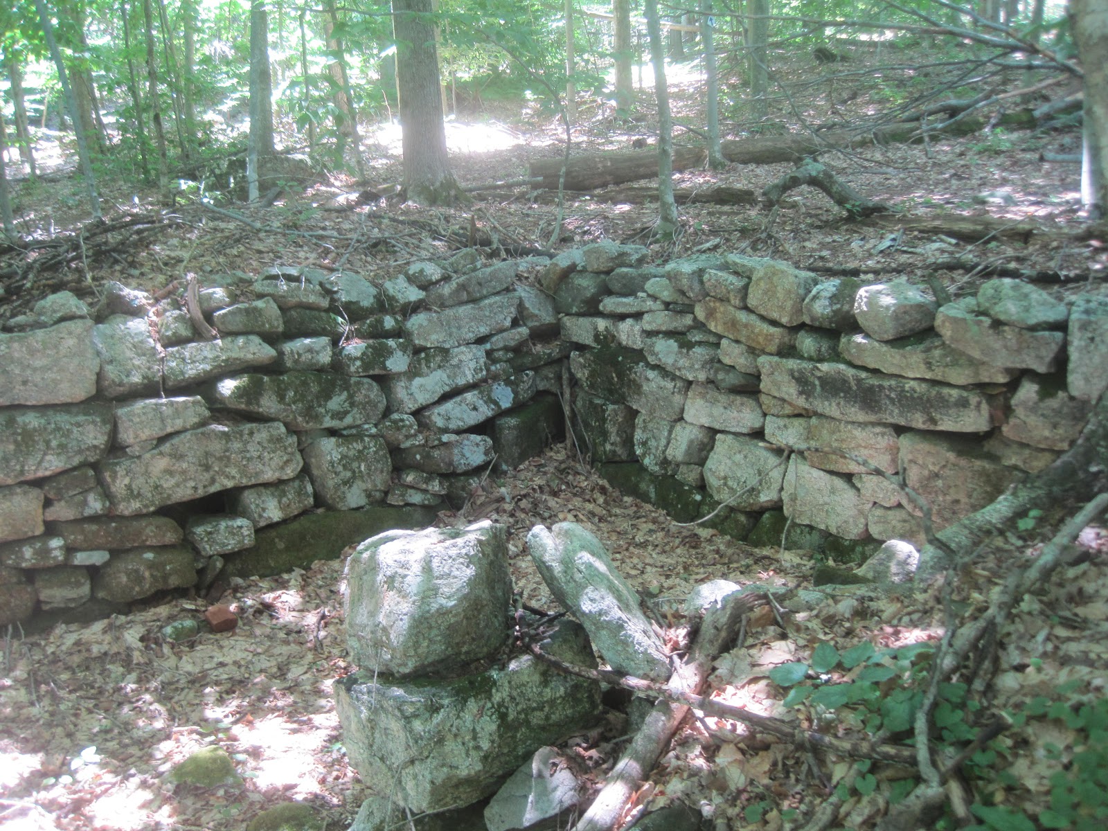 Mt.Tom Billy Goat 2 Chapel Brook Reservation Ashfield Ma. Ashfield