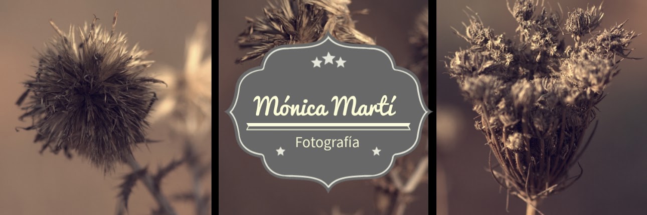 Mónica Martí - Fotografía