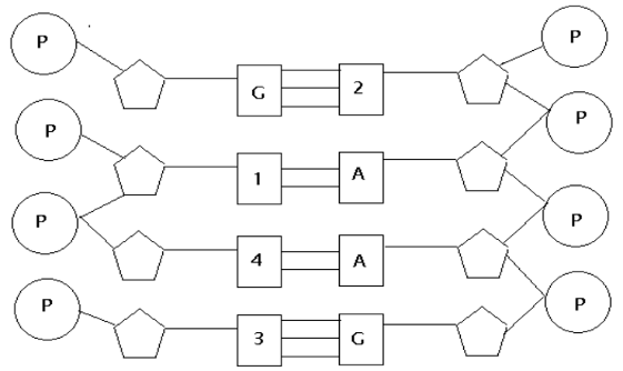 Soal UN Substansi dan Pembahasan MAHKOTA SAINS