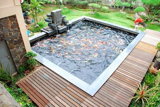 contoh dan desain kolam ikan minimalis di rumah