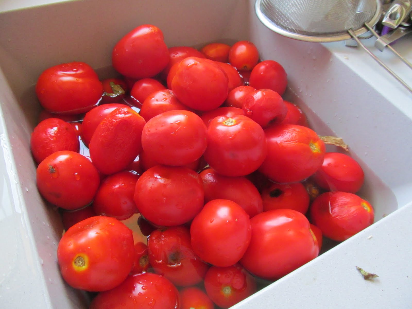Tomato Season