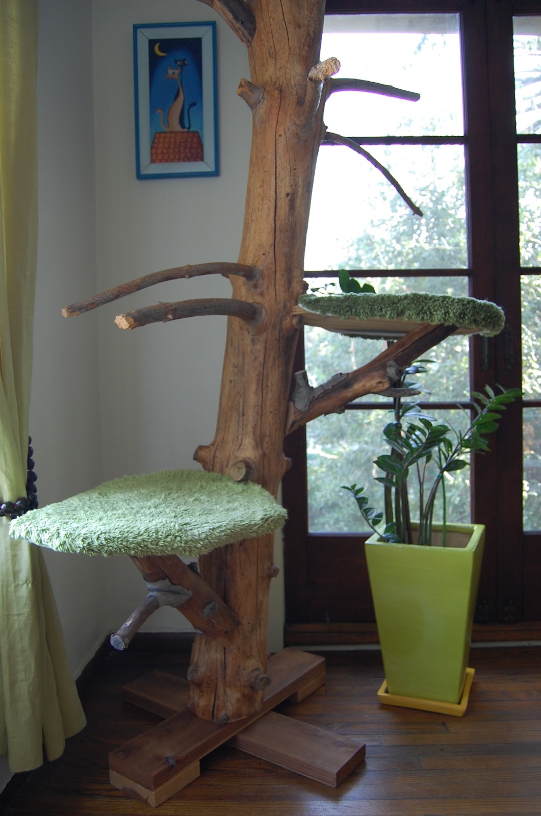 Cat Collar with BellCats and Their Mews Interesting Stuff About Tree