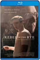 El Rebelde Oculto (2017) BRRip 720p Latino