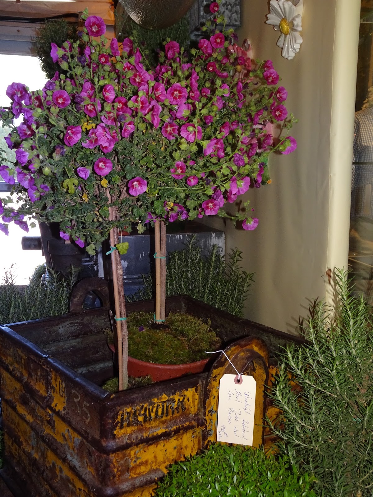 The French Tangerine antiques garden and design show 2016