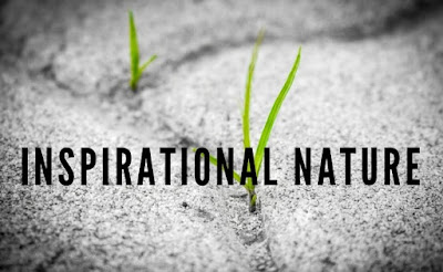 NATURE Is Essential For Your Success. Read This To Find Out Why NATURE Is Essential For Your Success. Read This To Find Out Why