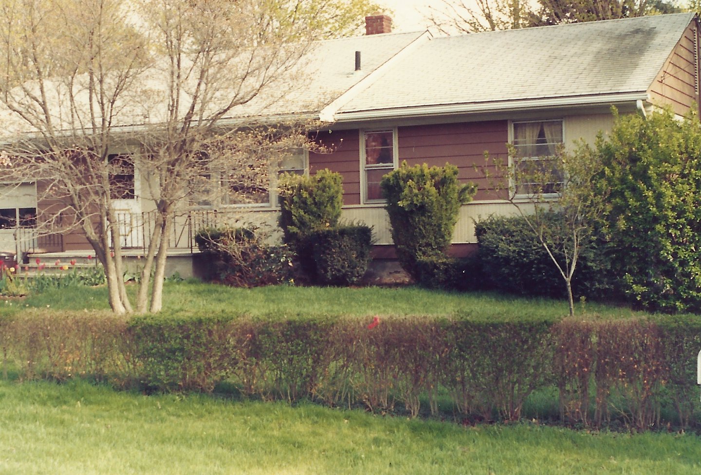 The Wandering Camels 2011 One decision made