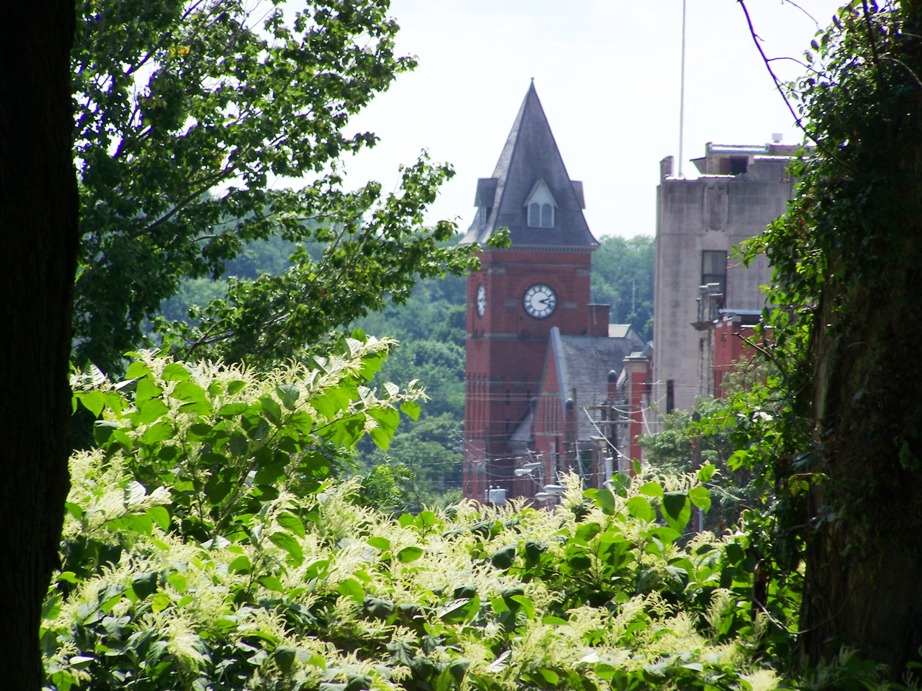 Frank's Place Carbondale City Hall