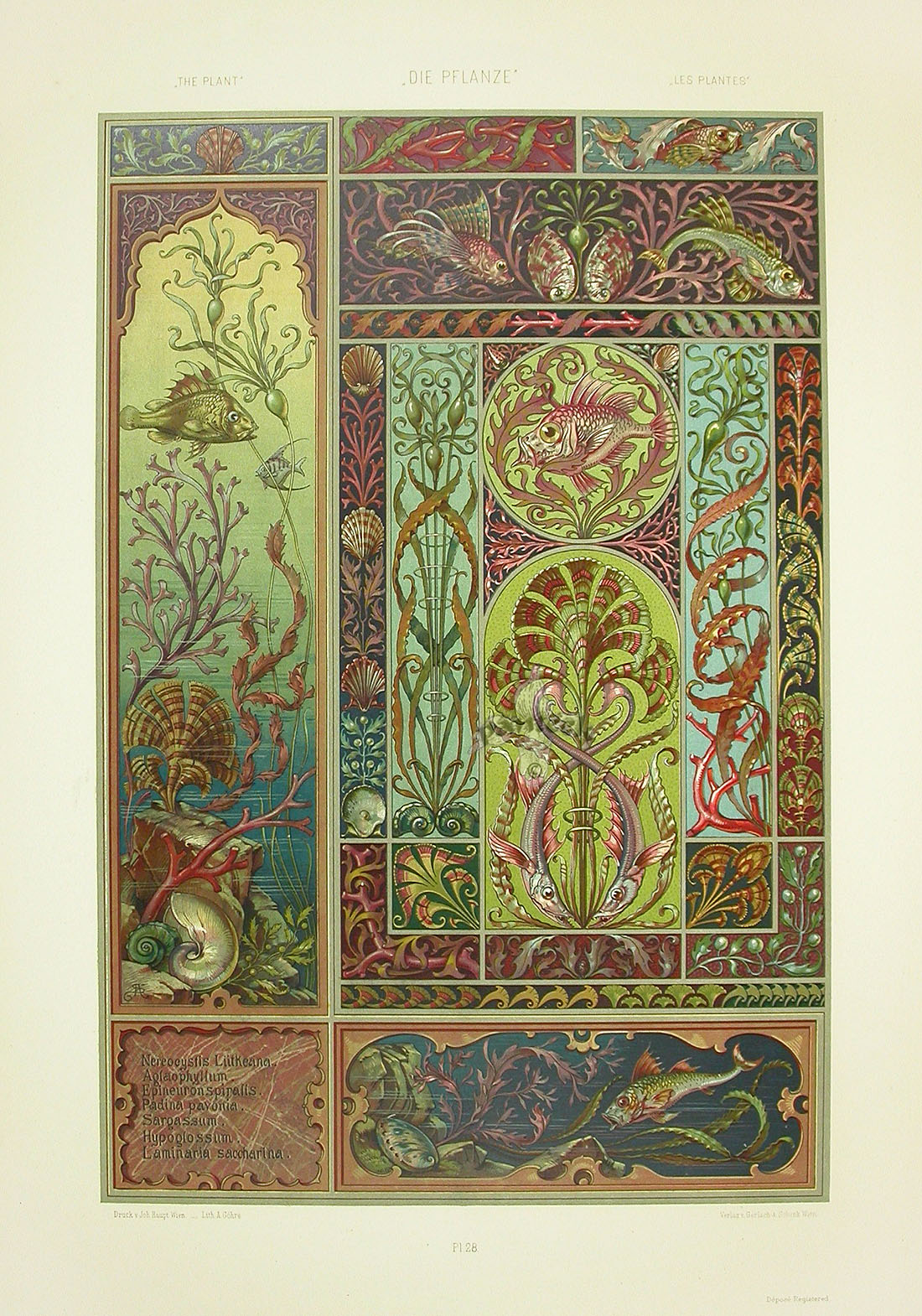 paradis express Anton Seder