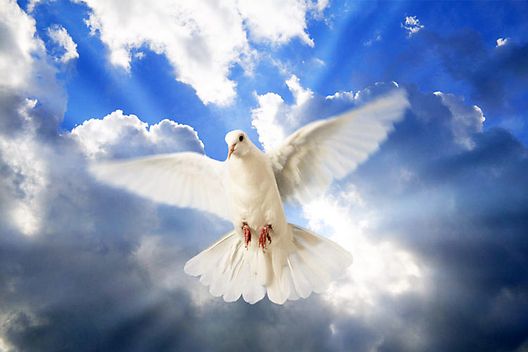 Ternyata Roh Kudus Tidak Tahu Pasti Berapa Umur Yesus | Liputan Al-Quran