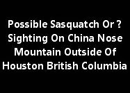 Possible Sasquatch Or ? Sighting On China Nose Mountain Outside Of Houston British Columbia