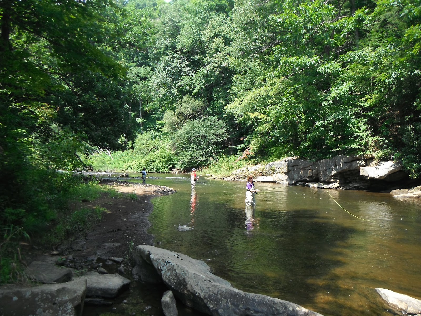 Western Maryland Fly Fishing Fly Fishing 101 on the Casselman River