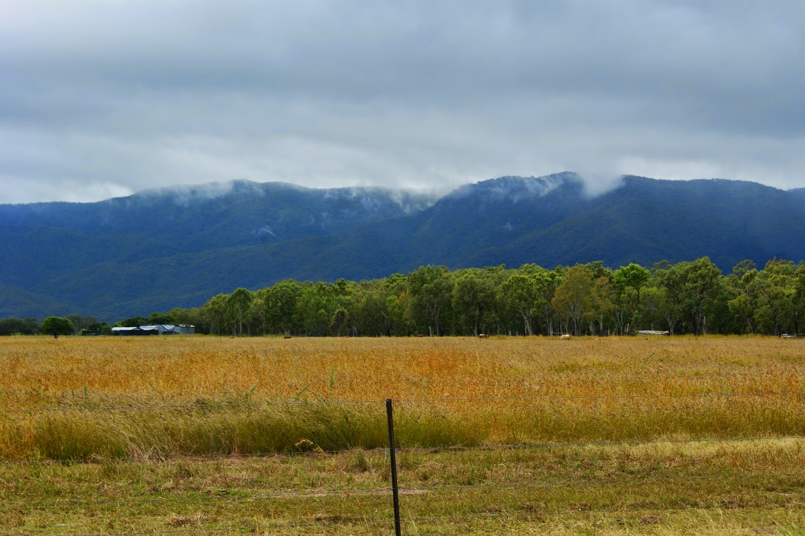 ren0vator Across The Highland Plains