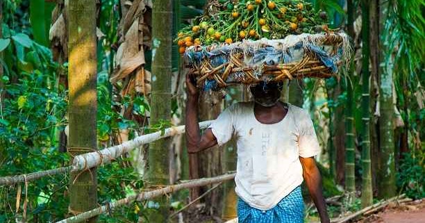 Essay on kaziranga national park in 300 words image