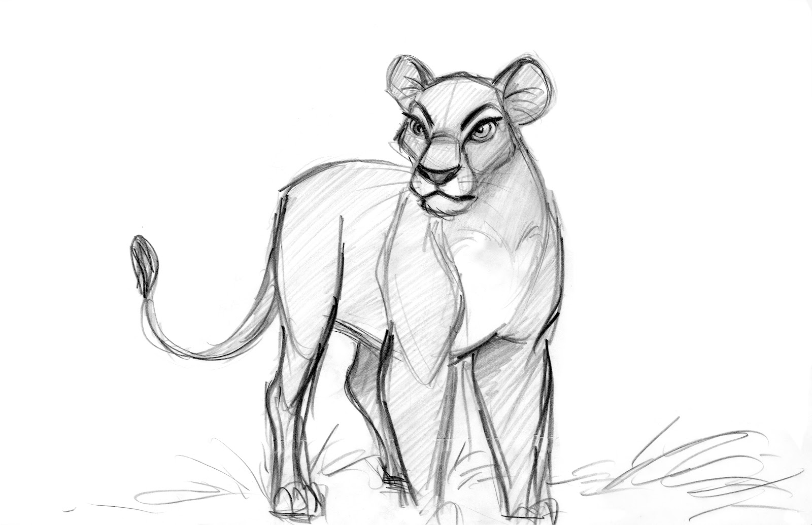 how to draw lion king characters nala