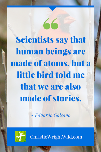 "Scientists say that human beings are made of atoms, but a little bird told me that we are also made of stories." ~Eduardo Galeano | famous literary quotes | author advice | inspiration for writers | writing tips | cardinal | story | science
