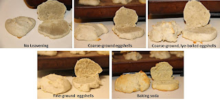 Eggshell leavening biscuit texture comparison Eggshell leavening biscuit texture comparison