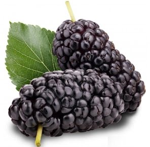काले सहतूत (Black Berries) काले सहतूत (Black Berries)