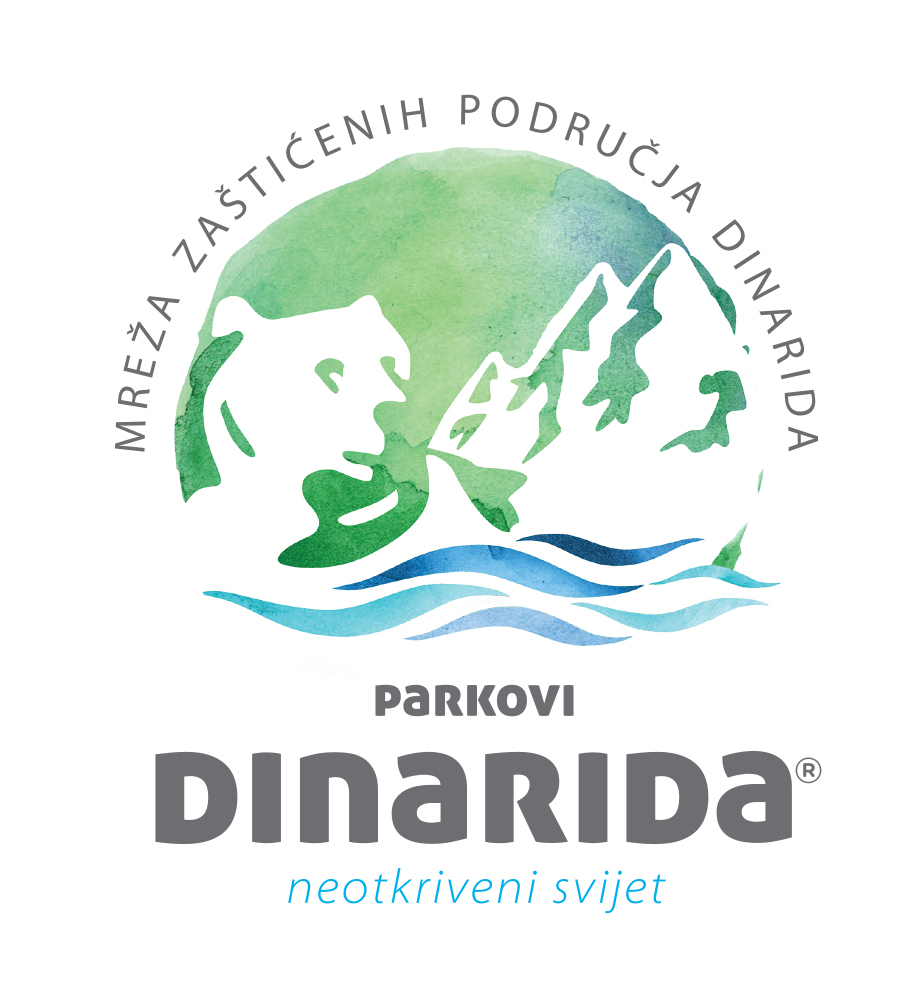Relativna aktivnost izlaska na mreži