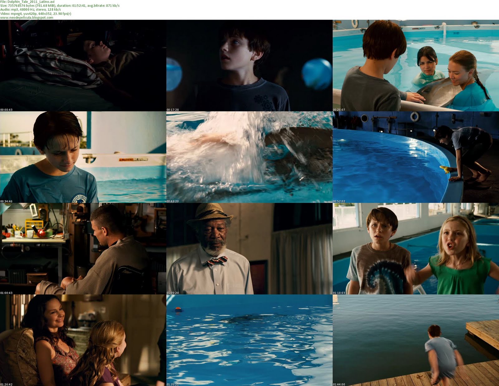 Dolphin_Tale_2011_Latino.jpg
