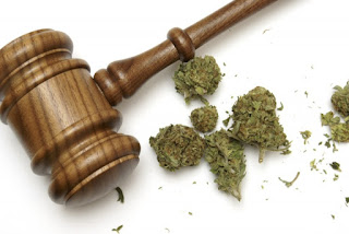 Marijuana business law firm