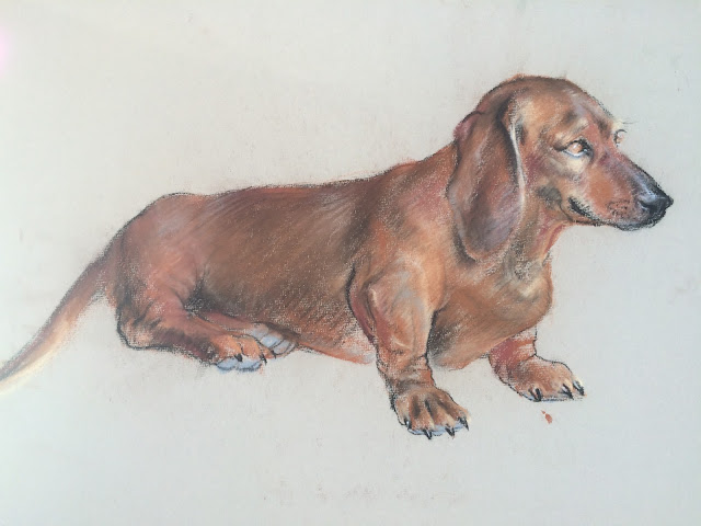 Dachshund Image by Francis J. Quirk executed in pastel Dog image, Dachshund image by Francis Quirk
