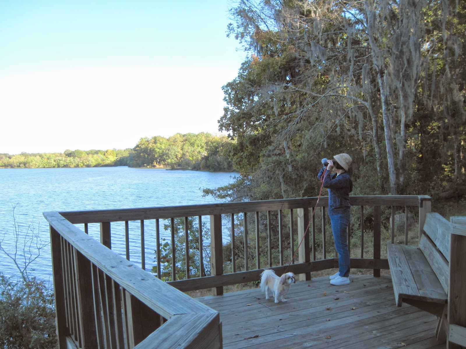 Doing It On The Road(Part II) From Shiloh to Bushnell, Florida