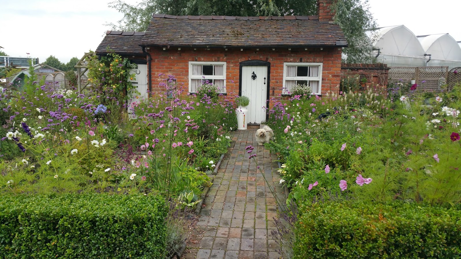 Bridgemere Garden Centre Nantwich Cheshire Paws across Britain