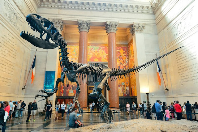 American Museum of Natural History em Nova York American Museum of Natural History em Nova York