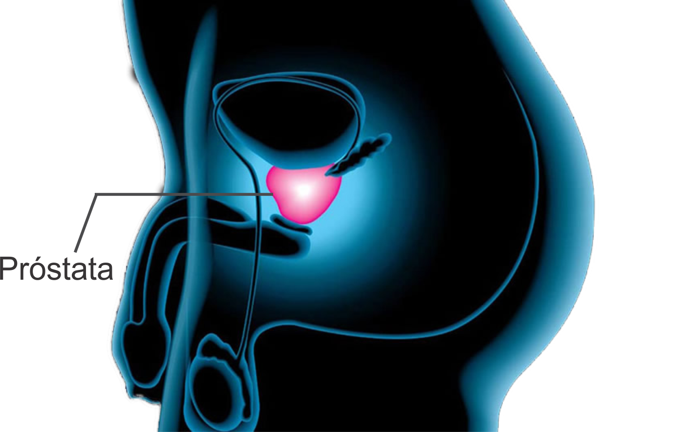 tratamiento con zadaxina y cáncer de próstata