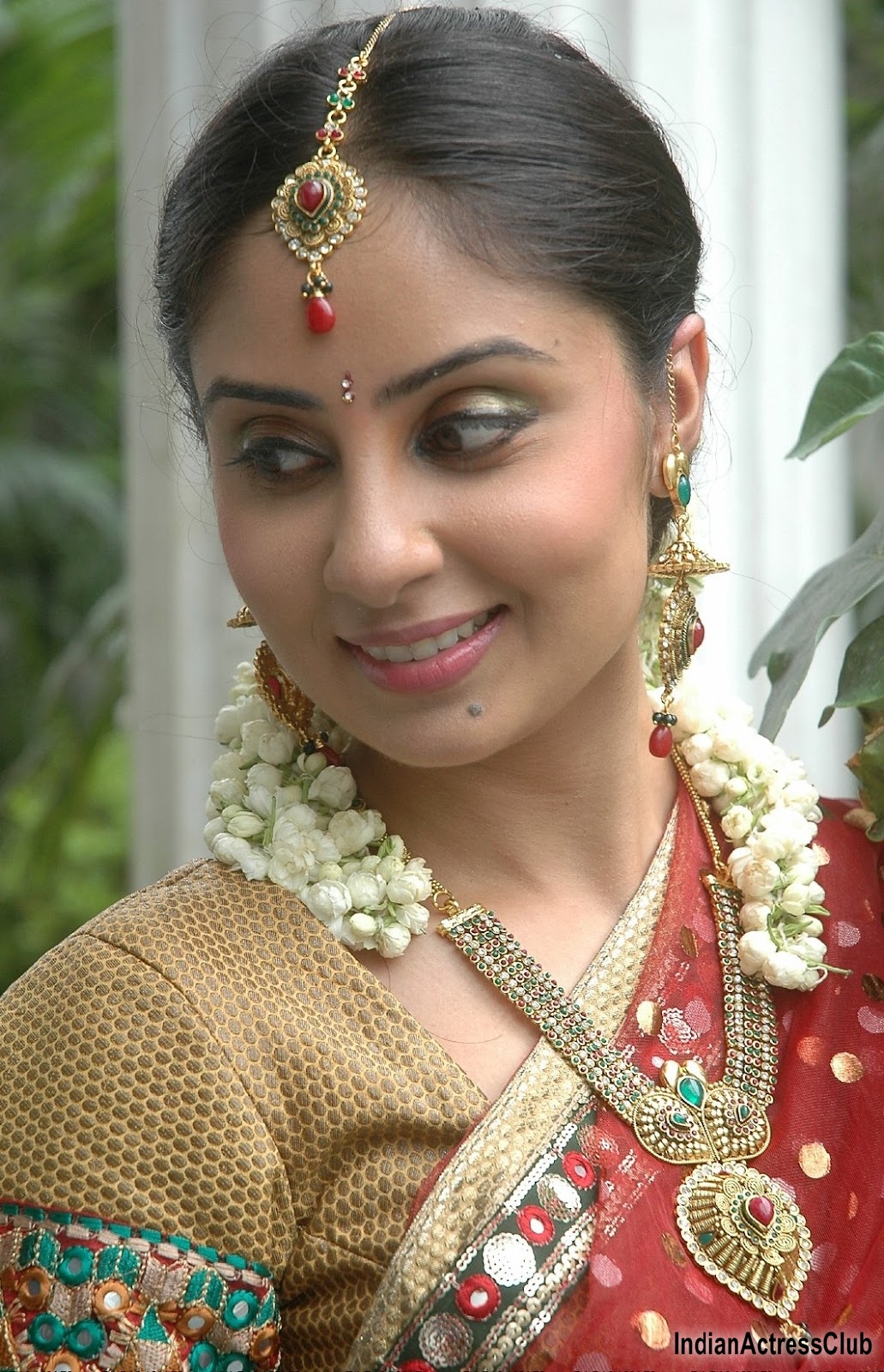 Bhanu Sri Mehra Adorned in Traditional Saree in Jewelery - Indian